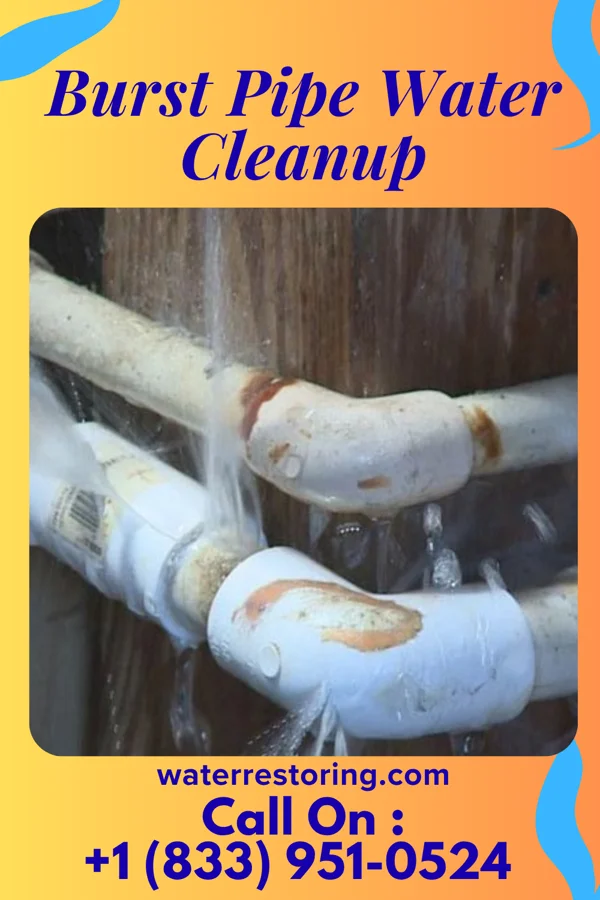 Burst Pipe Water Cleanup in Sacramento, CA